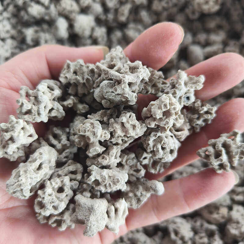 新货精选正品500克海浮石