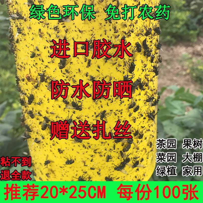 Sheet Agriculture Yellow plate Armyworm board Yellow and blue double faced adhesive tape waterproof Fruit fly informationin the Flower delivery/Flowers simulation/Plants gardening , Gardening supplies , Other Garden Supplies  category - from Buy2taobao.com to provide professional Taobao agent buy service