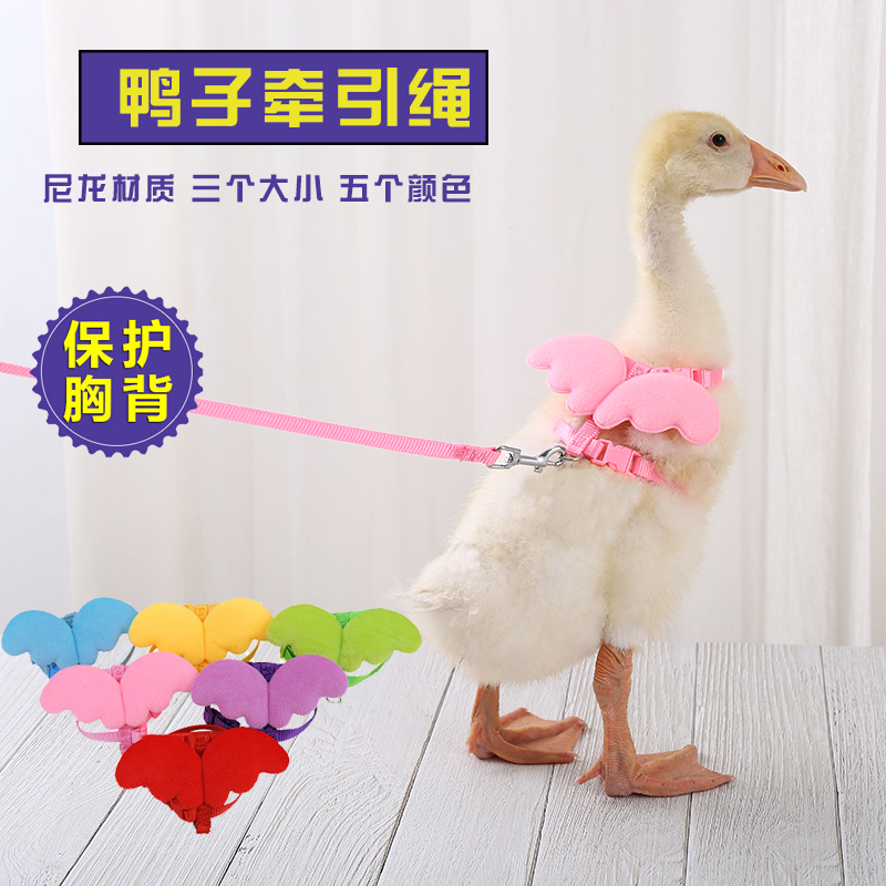 百变背带式牵引网红遛猫绳