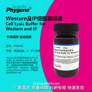 Western及IP细胞裂解液 送PMSF 100mL 免疫沉淀 [PH0406 PHYGENE]