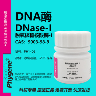 DNA酶 科研实验试剂 CAS 脱氧核糖核酸酶 DNase 9003