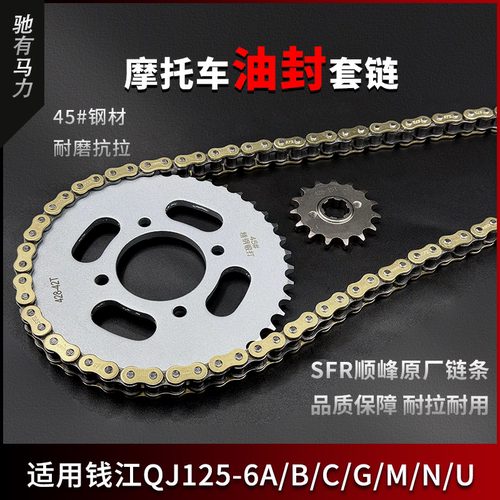 适用钱江QJ125-6A/B/C/G/M/N/U牙盘链条大小齿轮摩托车静音三件套