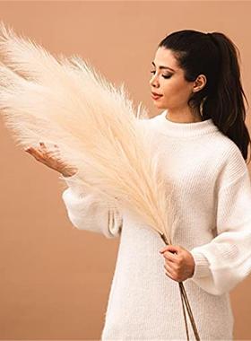 1PCs Small Pampas Grass Artificial Bulrush Flowers Fake Plan