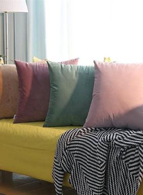 Solidcolored throw pillows Pink Cushions velvet backrest
