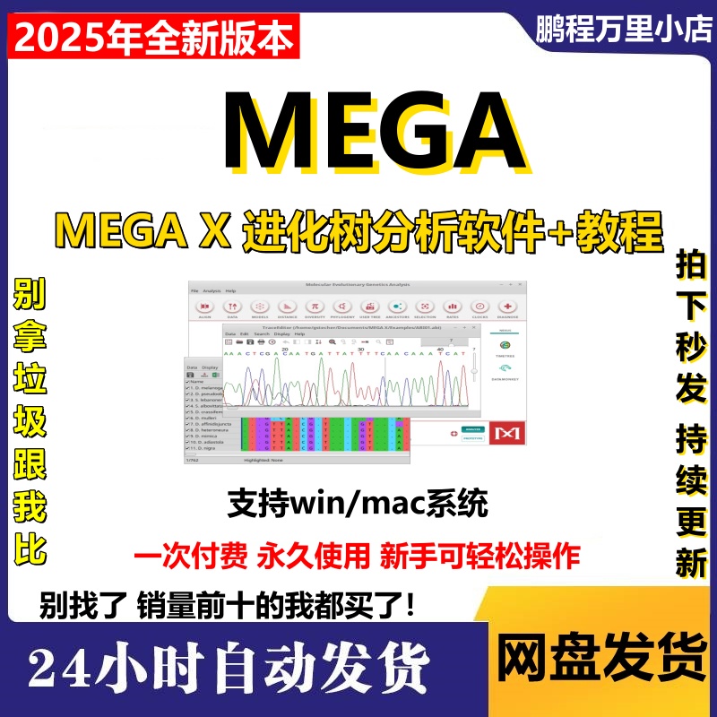 MEGA 11 2023 软件生信进化树分析工具 送视频教程支持win+mac