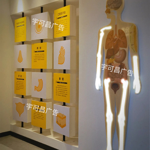 科普互动装置模块翻转墙人体器官发光文化墙展厅商业美陈道具定制