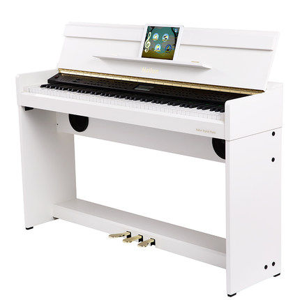 hailun/海伦智能钢琴duqⅢ88键电钢琴初学者立式家用电子琴