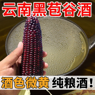 纯粮白酒云南特产黑苞谷酒纯粮食黑玉米桶装自酿酒泡酒专用酒白酒
