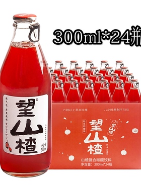 整箱300ml 24瓶好望水望山楂汁气泡水饮料 望杏福望桃花望梅好