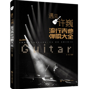 遇见许巍 流行吉他弹唱大全 吉他入门自学教程书初学者教材 吉他弹唱书 流行歌曲谱 吉他乐谱曲谱吉他乐理基础知识 吉他谱书籍