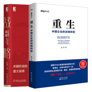 中国企业 重大抉择 战略转型 关键阶段 2本图书籍 王志纲论战略 重生