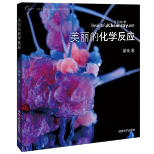 现货 美丽的化学反应 梁琰 化学实验大全教程