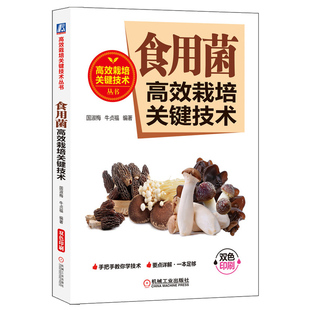 食用菌 栽培关键技术 国淑梅 牛贞福 食用菌菌种制作 金针菇平菇香菇黑木耳毛木耳玉木耳杏鲍菇草菇羊肚菌长根菇种植栽培技术书