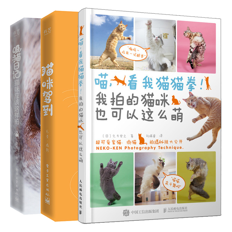 暖心街猫照片拍摄技法 各种猫的棚拍写真大片 晒猫技巧 宠物摄影入门