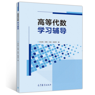 正版现货 高等代数学习辅导 林亚南 林鹭 杜妮 陈清华等著 高等教育出版社 9787040533644 代数学的基本思想方法书籍