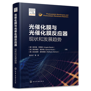 光催化膜与光催化膜反应器 现状和发展趋势 安杰洛 巴西莱 西尔维亚 莫齐纳 拉法埃莱 莫利纳里9787122419316 化学工业出版社