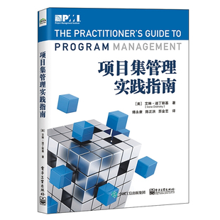 项目集流程改进 项目集管理基础设施 项目集收益实现与管理 项目集管理方法书籍 傅永康 项目经理管理书籍 项目集管理实践指南