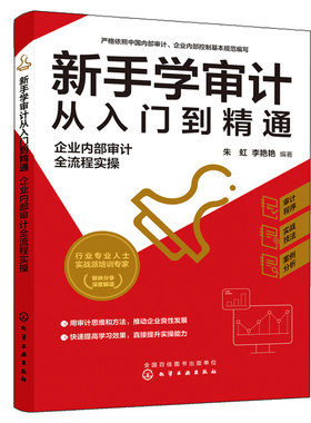 新手学审计从入门到 通 企业内部审计全流程实操 审计准则内审人员内部审计工作宝典 审计新手流程实操指导审计实务入门书籍
