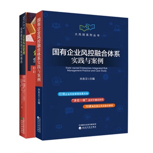 国有企业风控融合体系实践与案例 孙友文+企业风险管理实践与案例选