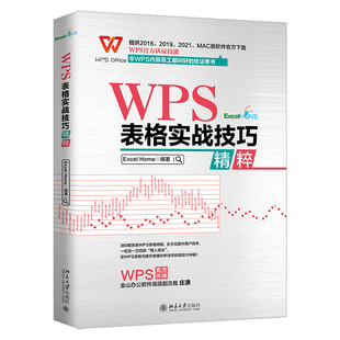 WPS 表格实战技巧  Excel Home 著 WPS 表格数据录入格式设置排序筛选分类汇总数据透视表函数与公式及图表图形技巧大全书