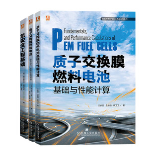 质子交换膜燃料电池基础与性能计算 故障诊断和预测 氢工程基础氢燃料电池系统集成研发书籍 质子交换膜燃料电池混合动力