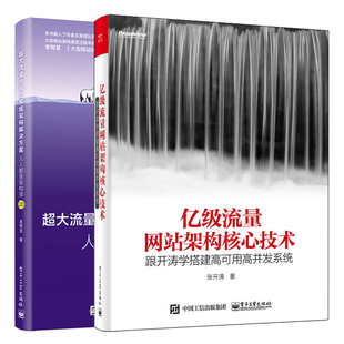 架构师2.0 系统架构解决方案 大流量分布式 亿流量网站架构核心技术 分布式 跟开涛学搭建高可用高并发系统 系统开发书