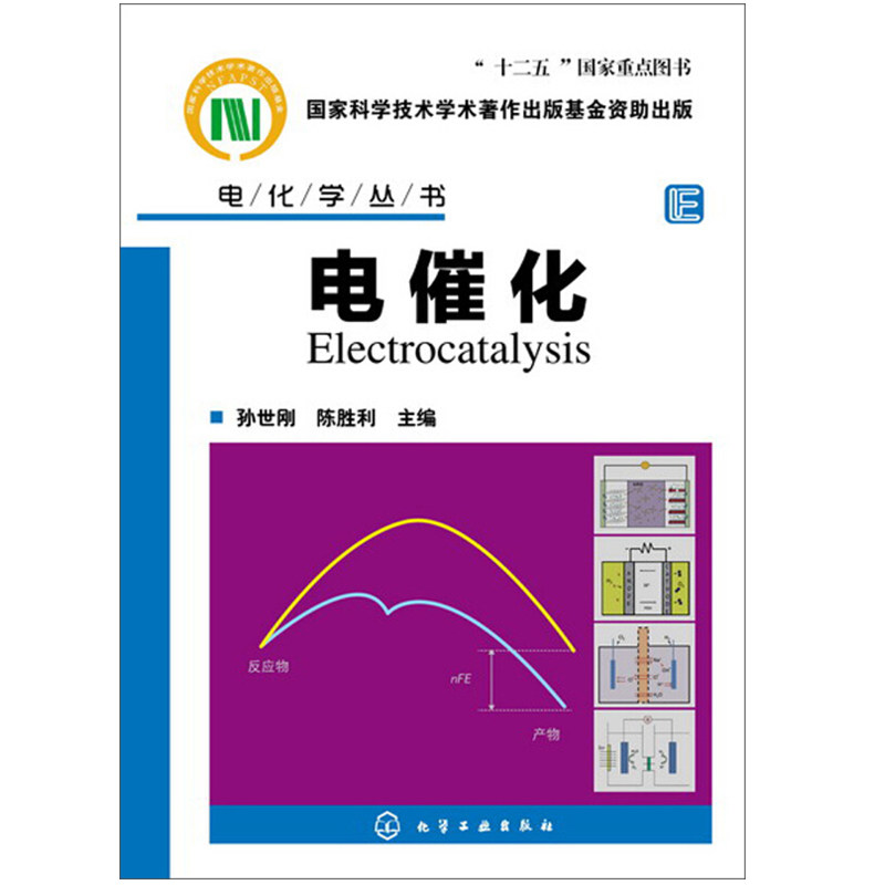 电化学丛书 电催化 孙世刚 电催化基础电催化过程教程书籍 电催化剂理论设计理论模拟制备工艺技术书籍 电催化基础知识图书籍
