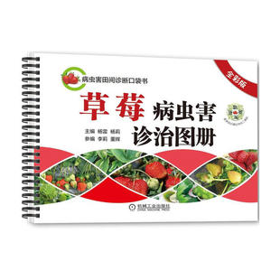 草莓病虫害诊治图册 全彩版 草莓栽培书籍 草莓无公害高产栽培技术 有机草莓栽培实用技术 大棚温室科学种植养殖草莓教程书籍