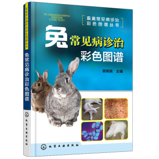 养兔技术 兔常见病诊治彩色图谱 养兔子参考书籍 常见兔病诊断与防治 兔子养殖技术图书籍 兔养殖技术大全书籍