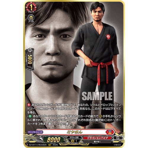 VG  EXC/RGGR DZ-BT14/EX34 宫先生