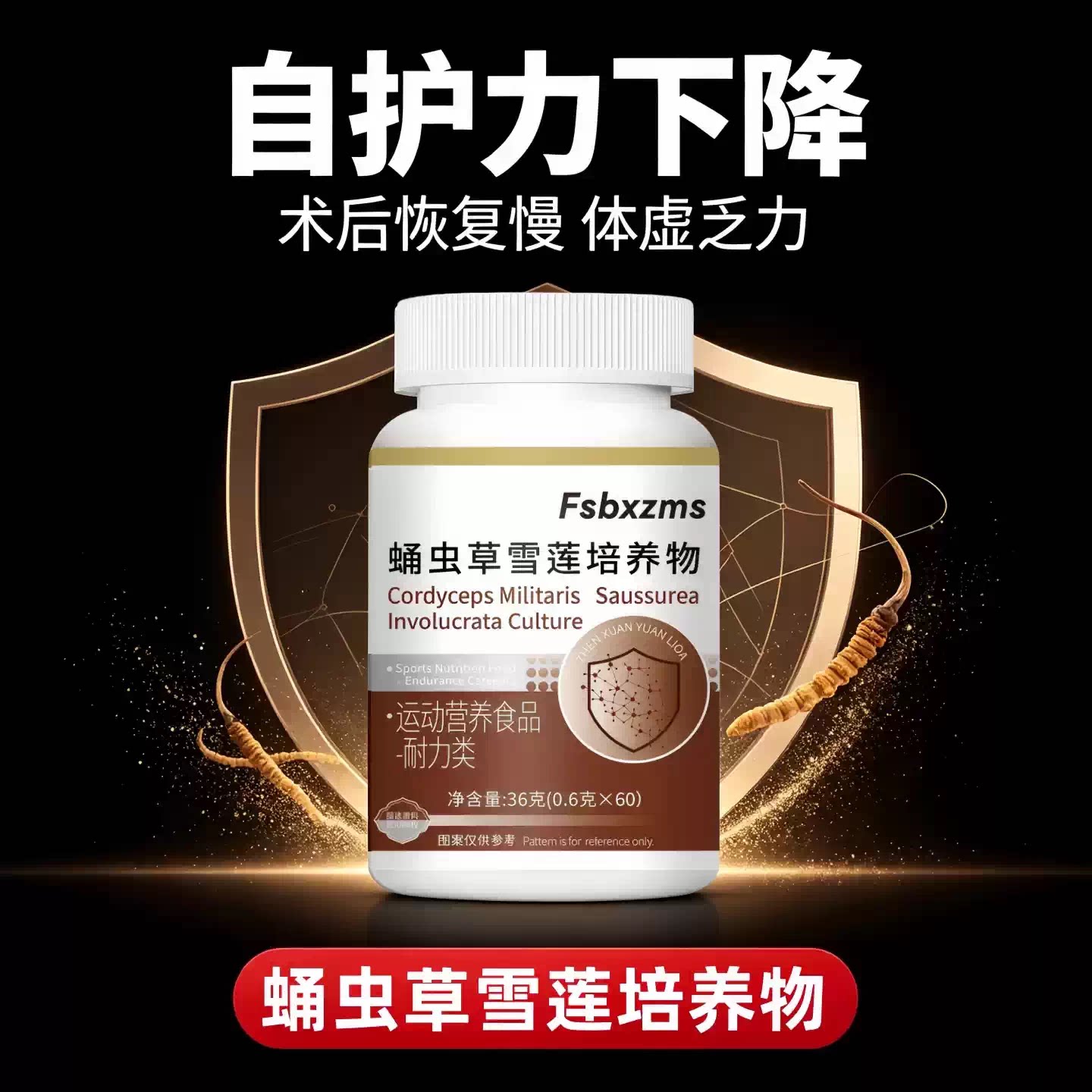迈康蛹虫草中老年免疫力片