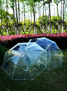 新款日式小清新长柄透明伞学院风简单透明雨伞百搭街拍单品装饰伞