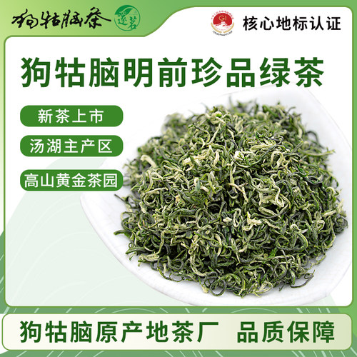 2026新茶绿茶明前珍品茶叶自己喝