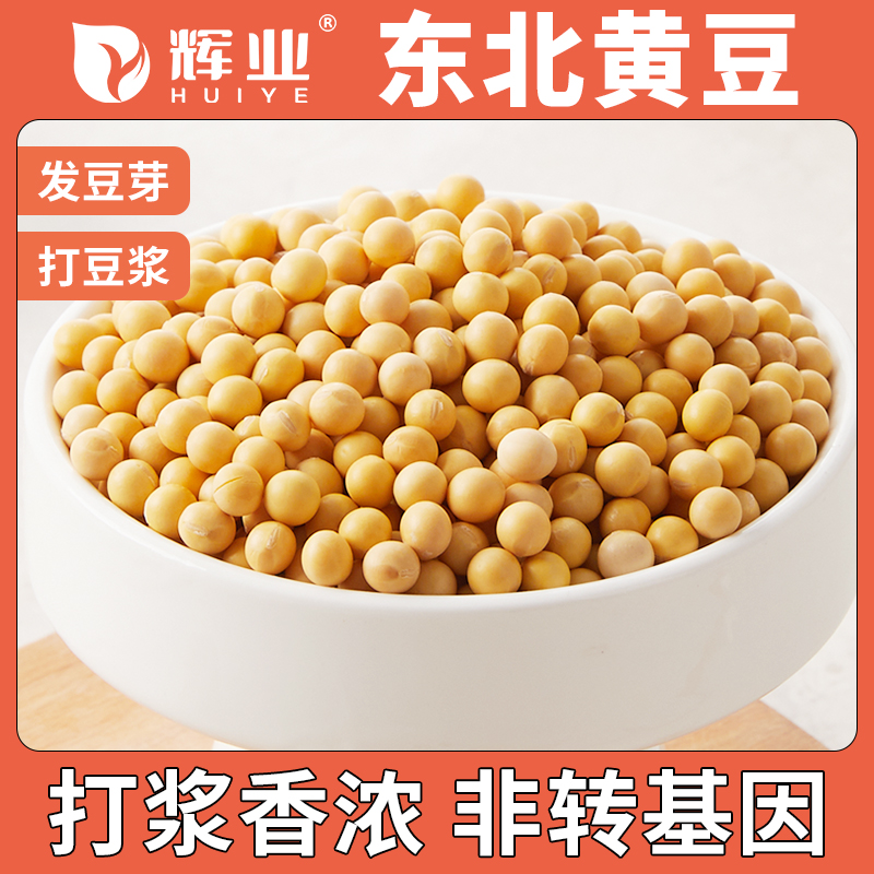 辉业东北黄豆非转基因打豆浆专用大豆破壁机干小发生豆芽大粒农家