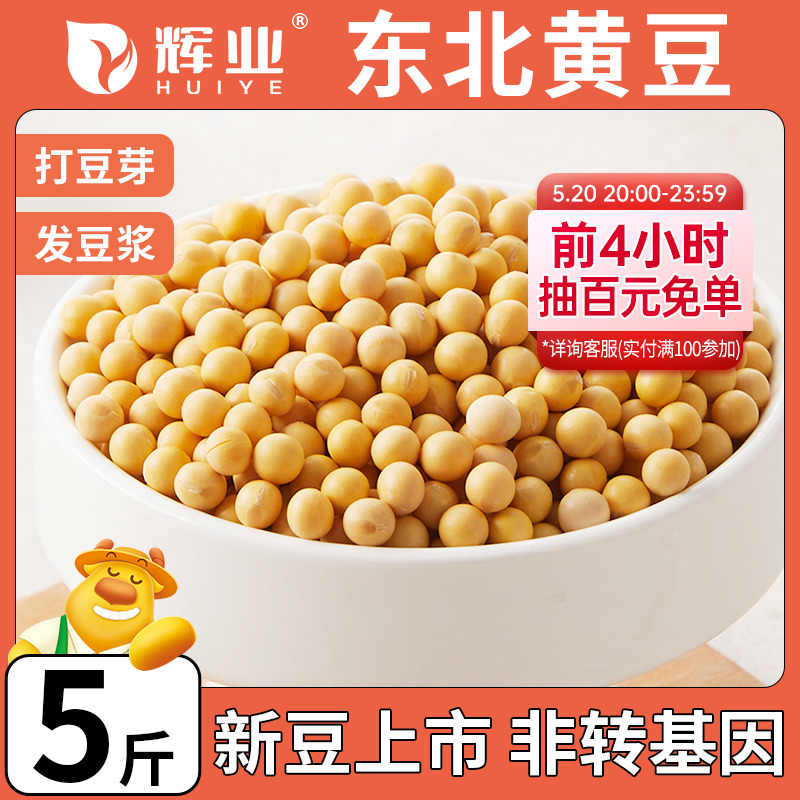 辉业非转基因东北黄豆5斤打豆浆专用大豆干小发生豆芽大粒农家