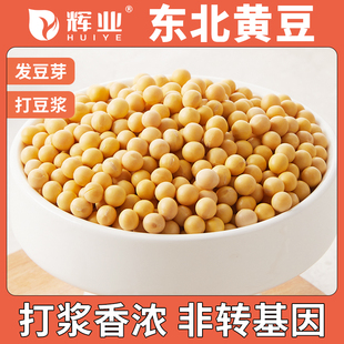 辉业东北黄豆非转基因打豆浆专用大豆破壁机干小大粒农家