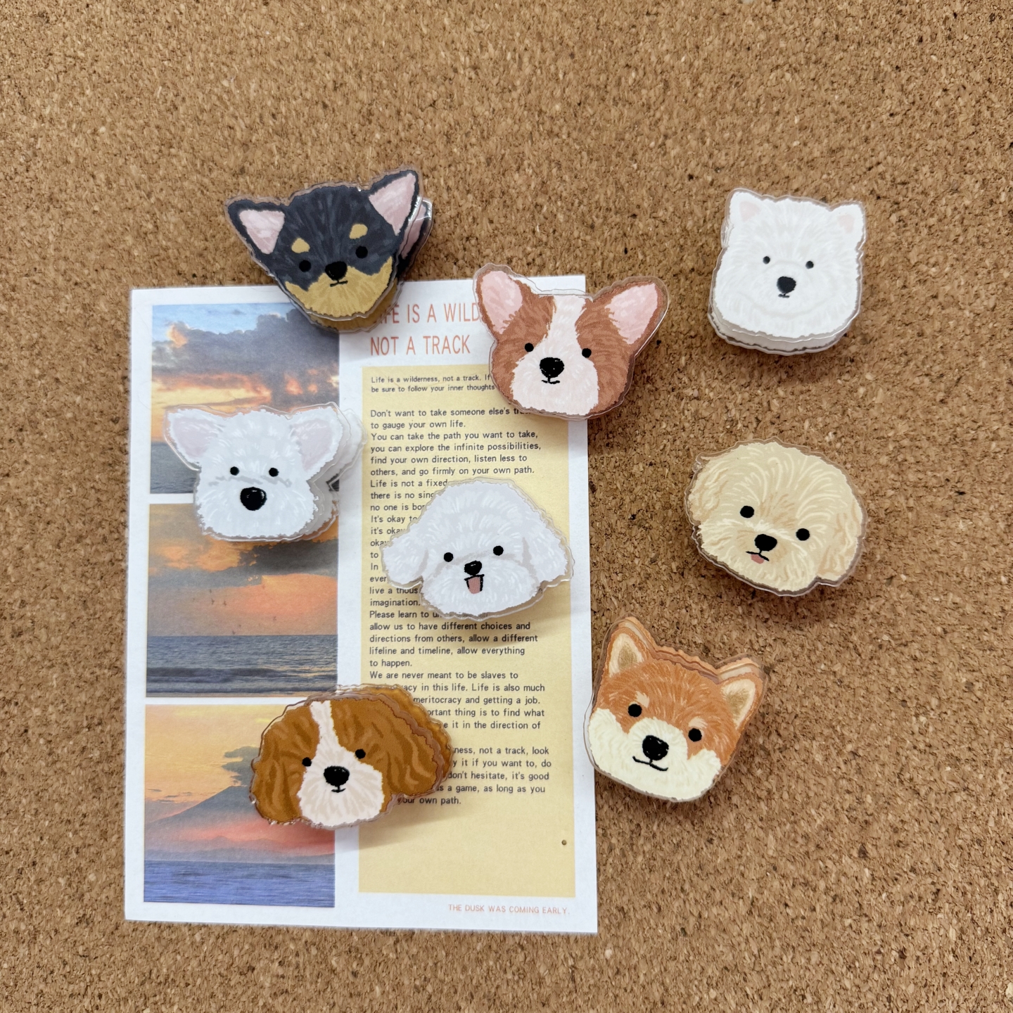 8个装可爱小狗系列图钉软木板工字钉幼儿园个性ins照片墙毛毡板