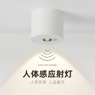 筒灯防眩光吸顶天花孔灯 人体感应射灯玄关走廊过道楼梯智能明装