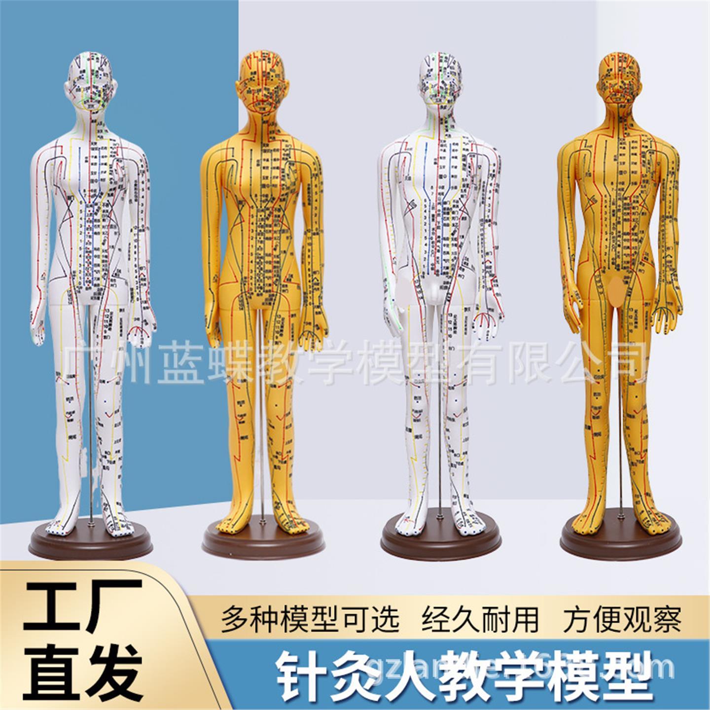 52/62CM高清刻字人体铜模模型