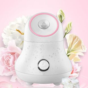 蒸脸仪热蒸气家用热喷雾蒸脸器面部蒸汽机补水喷雾器