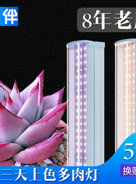 花伴多肉补光灯T20植物补光灯排全光谱室内多肉补光灯led