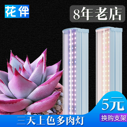 花伴多肉补光灯T20植物补光灯排全光谱室内多肉补光灯led