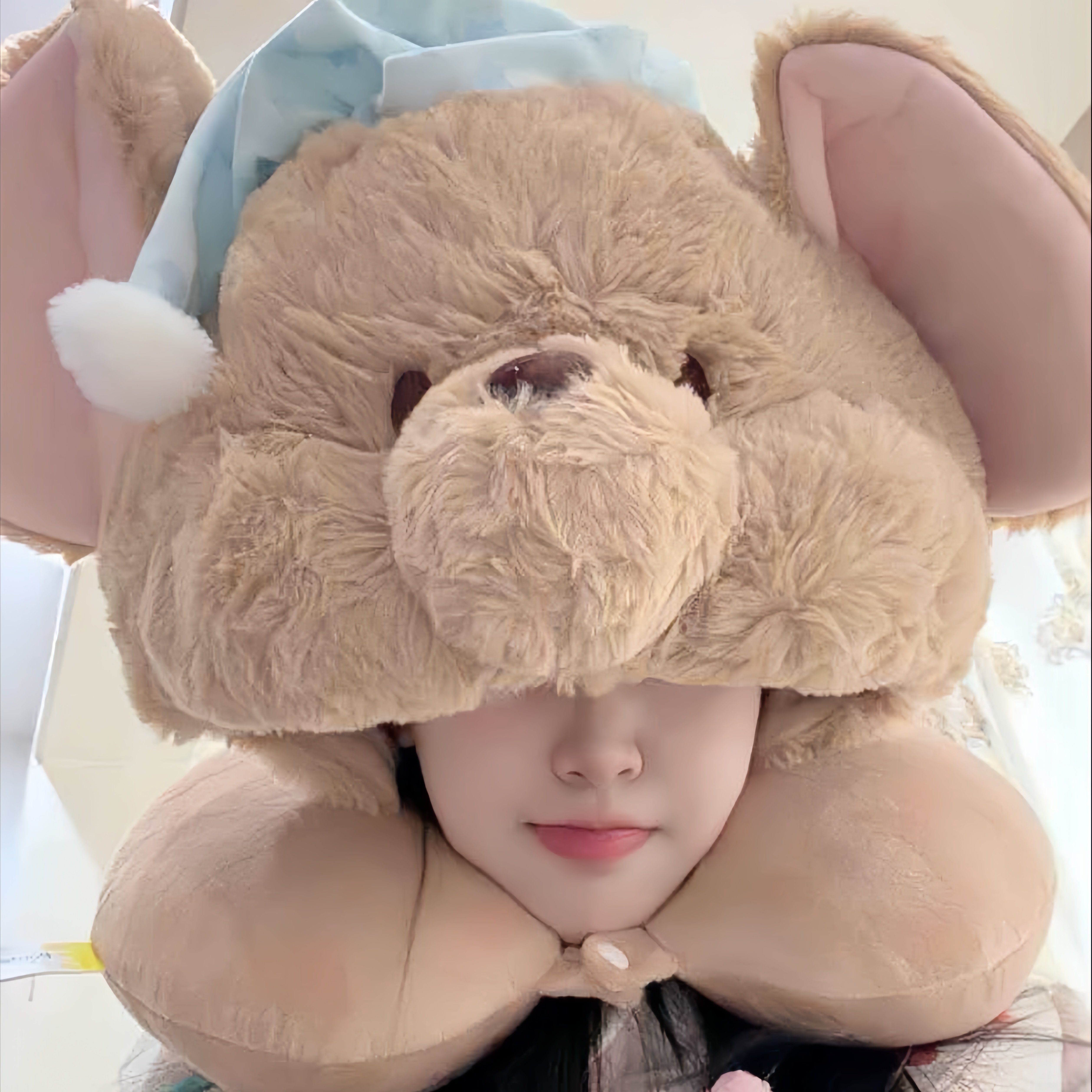 小红书小豆可爱卡通连帽旅行午睡ins护颈飞机遮光枕头帽子一体,床上用品,U型枕/便携枕,淘宝优惠券,粉丝福利购,淘宝优惠卷