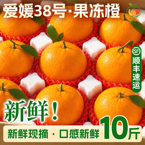 【正宗现货！】爱媛38号果冻橙