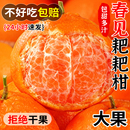 春见耙耙柑正宗现摘粑粑柑新鲜水果当季 整箱丑9斤橘柑橘桔子年货