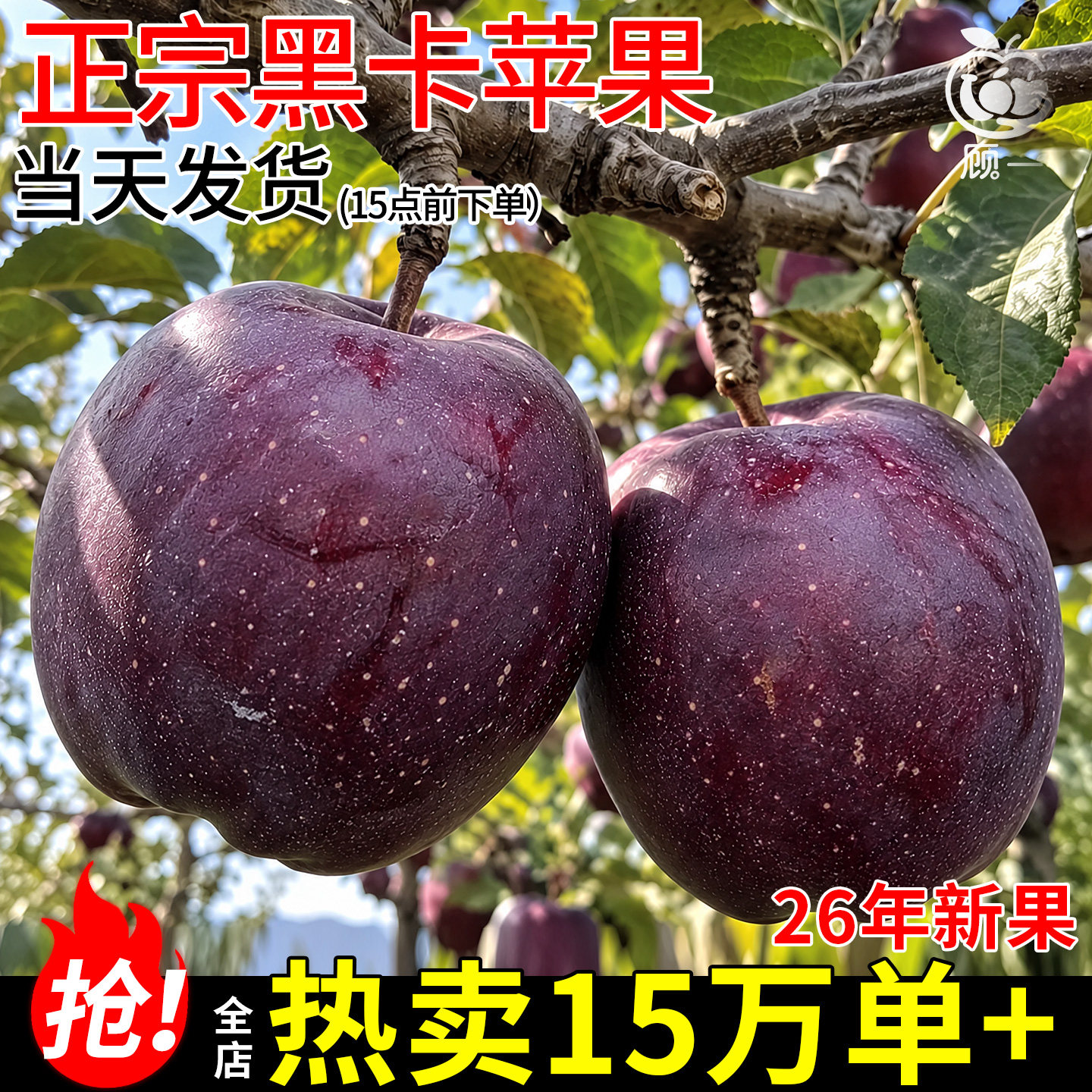 黑卡苹果水果新鲜黑钻当季整箱冰糖心应季甜果包邮正品官方旗舰店