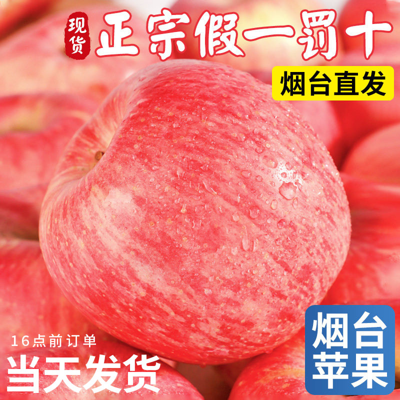 苹果新鲜水果正宗烟台红富士当季整箱山东栖霞脆甜丑果子批发10斤