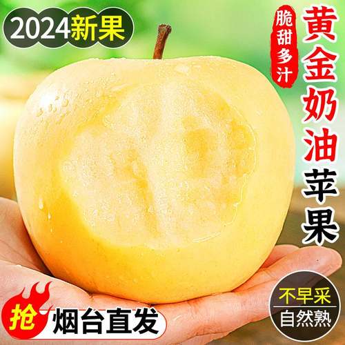 2024年新果丨烟台奶油富士苹果