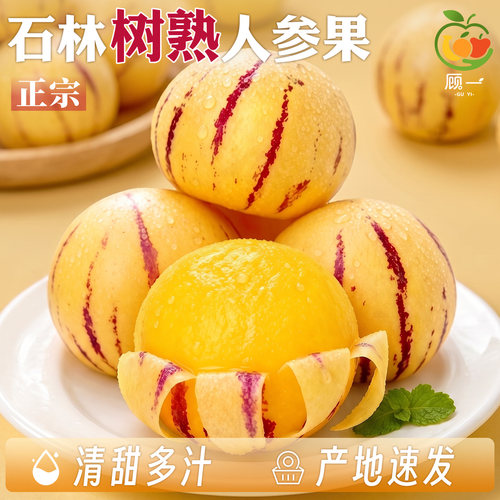 白果包赔！只发树上熟石林人参果