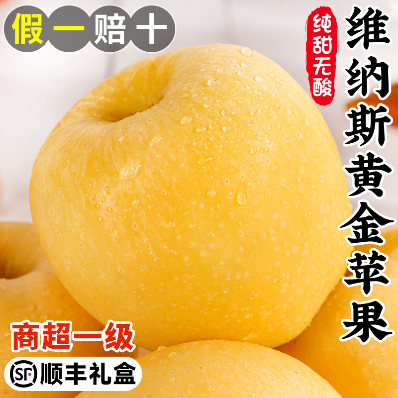 正宗维纳斯黄金苹果山东当季秋冬新鲜水果礼盒装雀斑山姆冰糖心